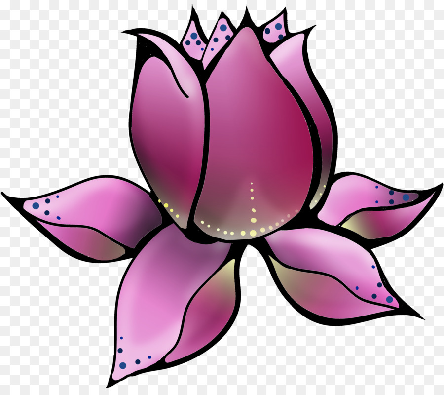 Nelumbo Nucifera，Yoga PNG