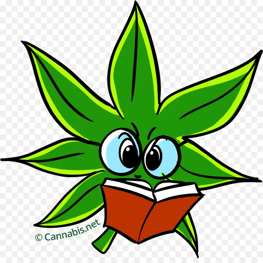 Cannabis Sativa，El Cannabis PNG
