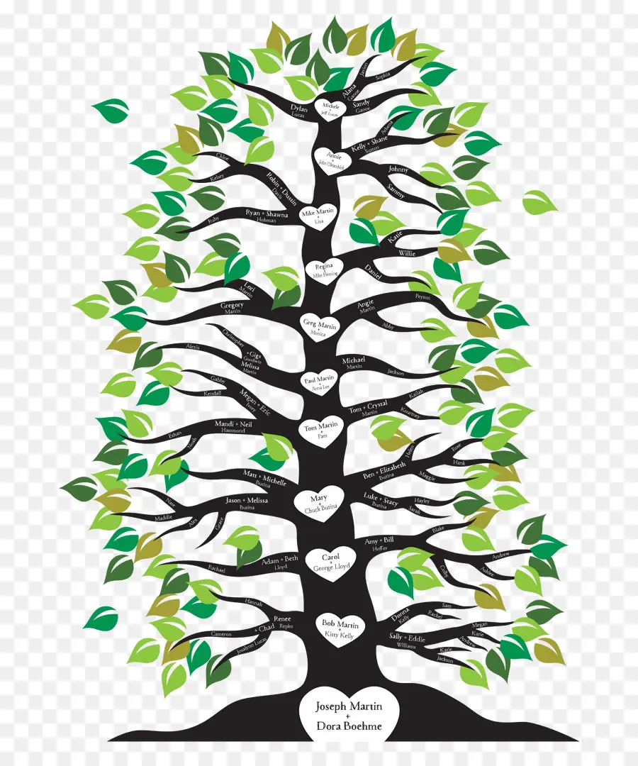 árbol Genealógico，árbol PNG