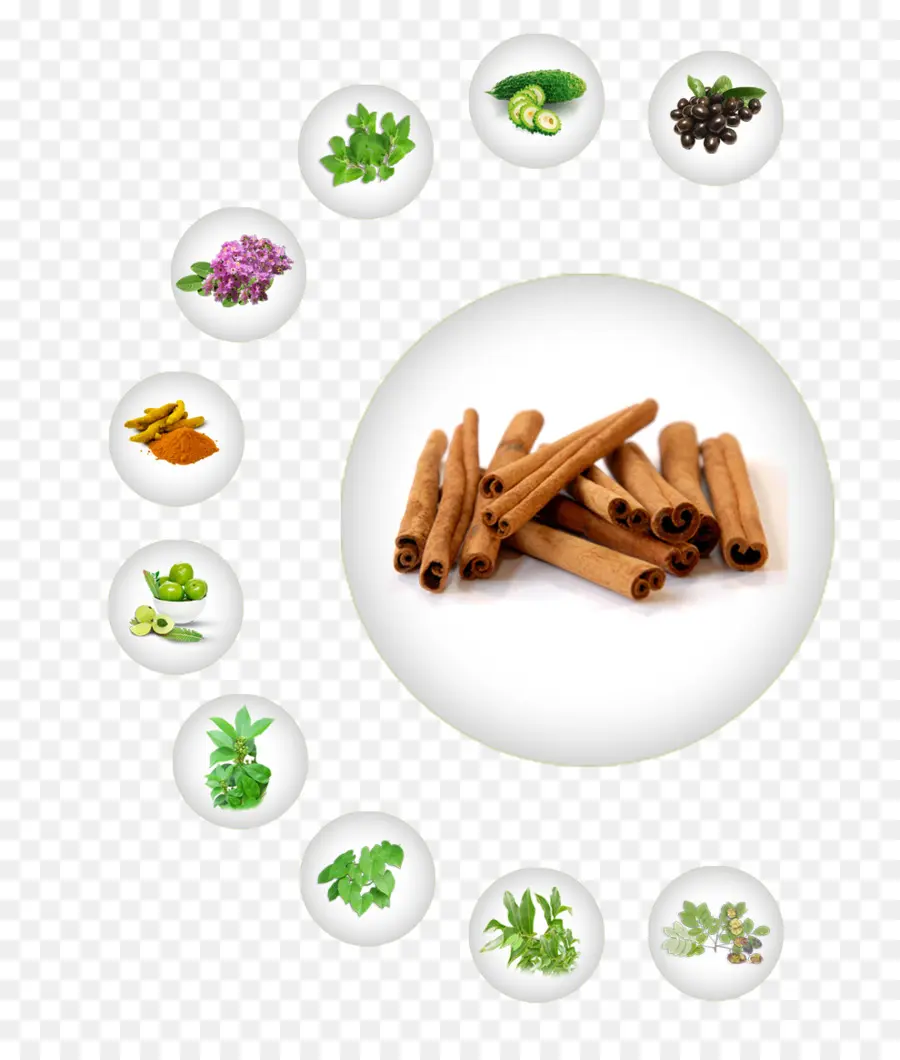 Cinnamomum Verum，Canela PNG