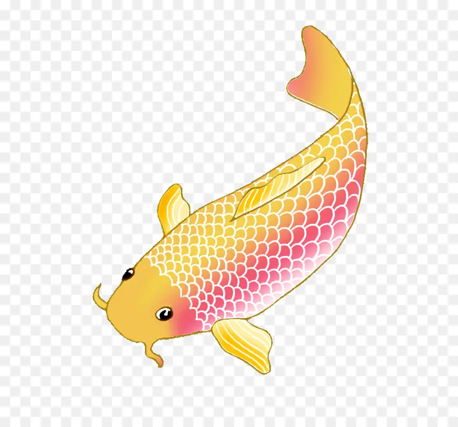 Pez Koi，Oro PNG