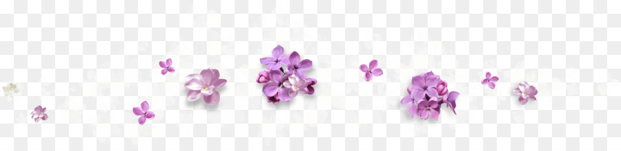 Púrpura，Flor PNG