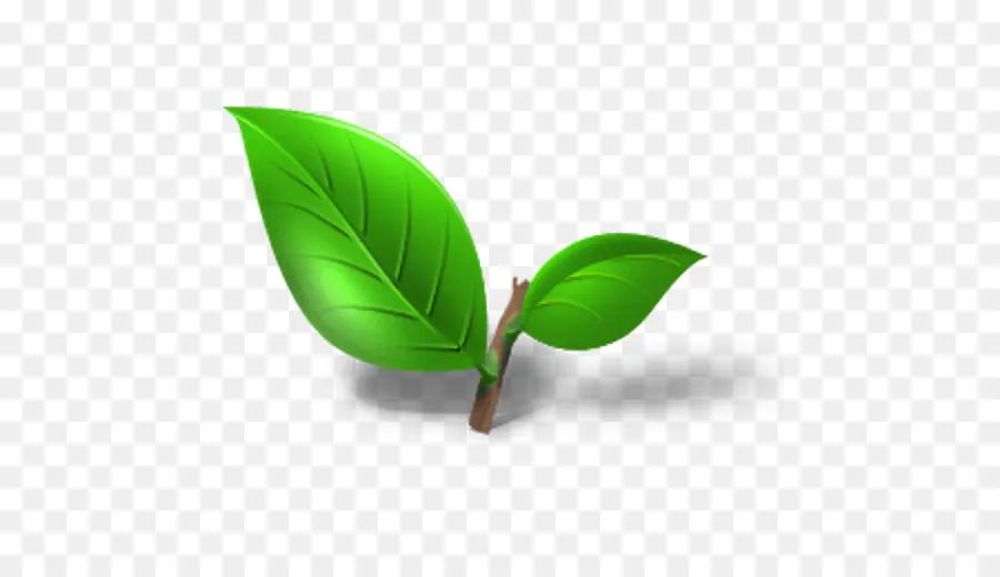 Hojas Verdes，Planta PNG