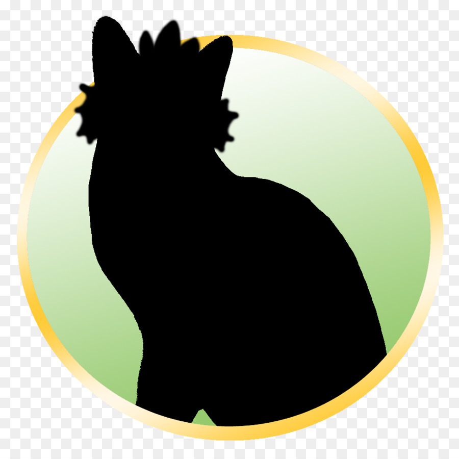 Gato，Perro PNG