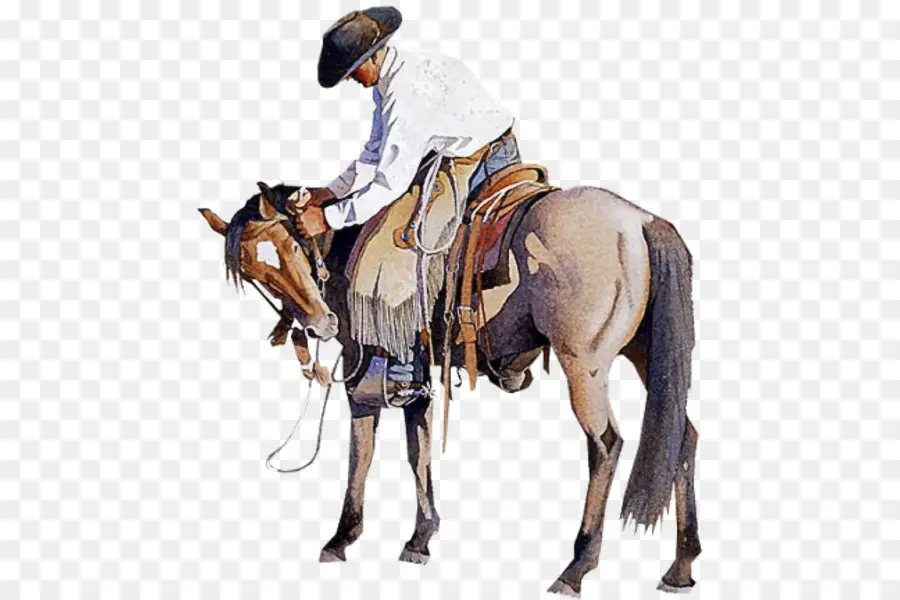 Vaquero Y Caballo，Caballo PNG