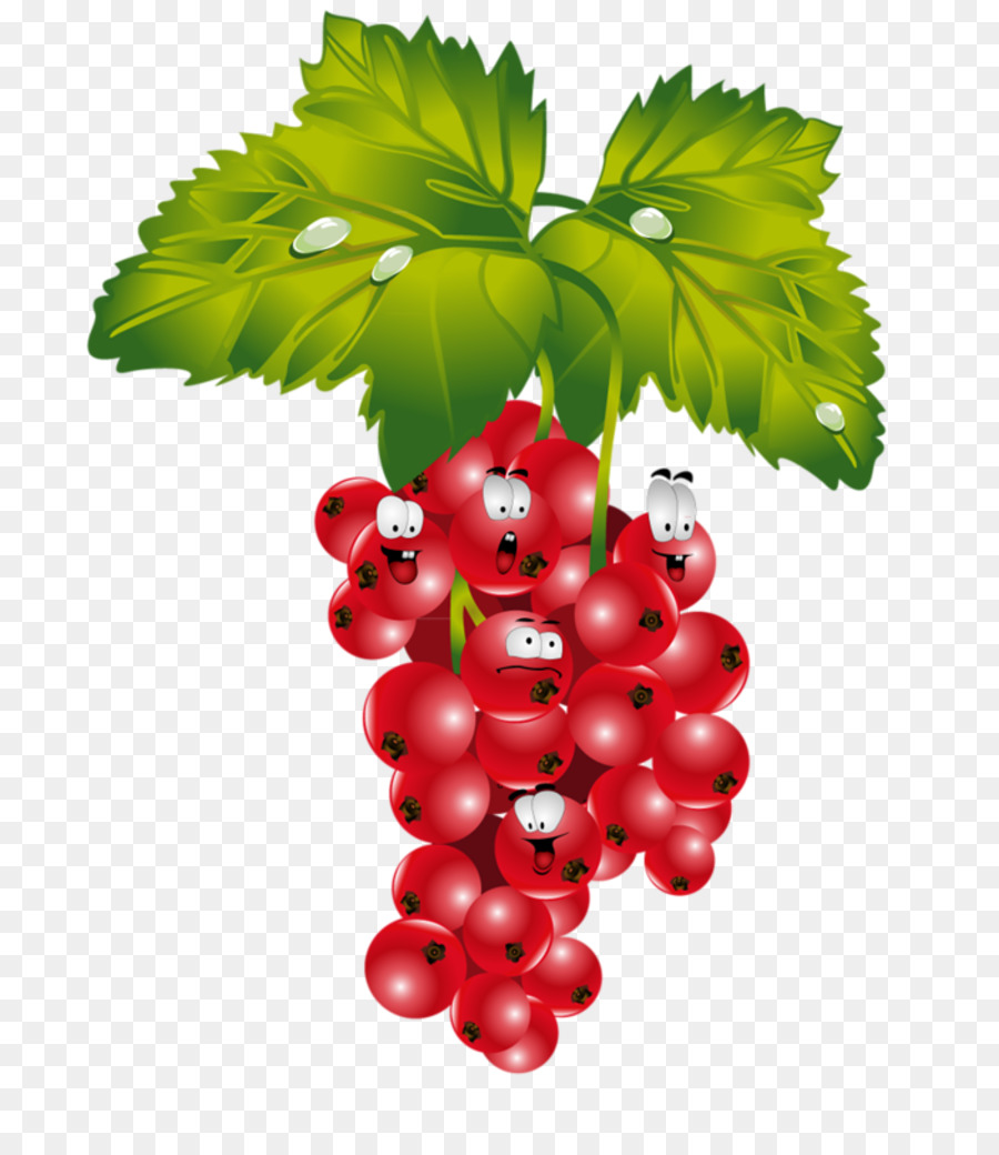 Uvas Rojas，Racimo PNG