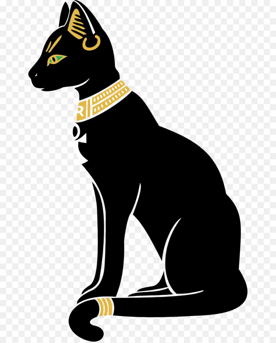 Gato Negro，Felino PNG