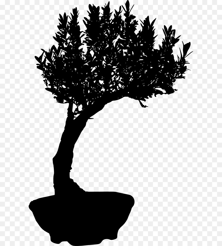 Árbol Bonsái，Miniatura PNG