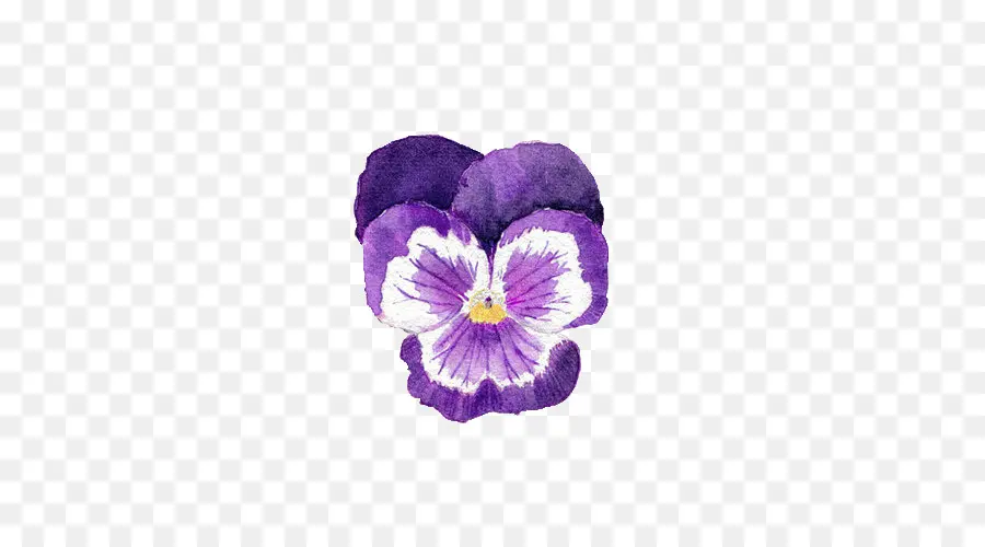 Pintura A La Acuarela，Pansy PNG