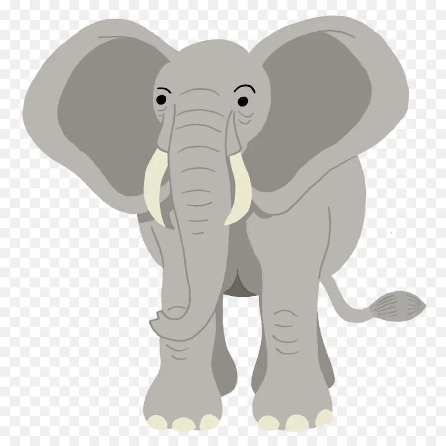 Elefante De Dibujos Animados，Lindo PNG