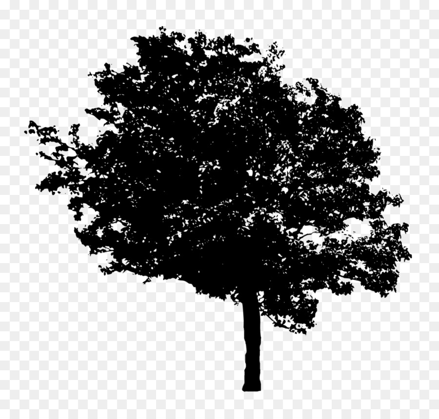 Árbol，Silueta PNG