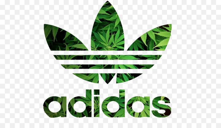 Camiseta，Adidas PNG