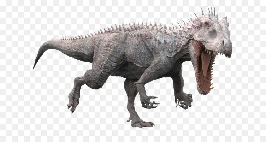 Tyrannosaurus，Velociraptor PNG