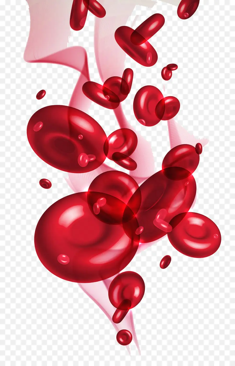 Células Rojas De La Sangre，Celular PNG
