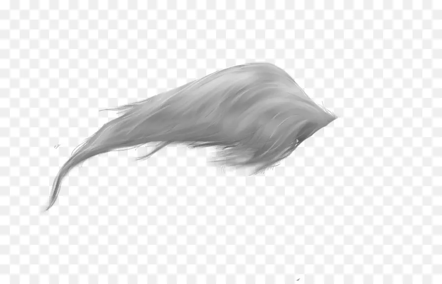 Pelo Gris，Hebra PNG