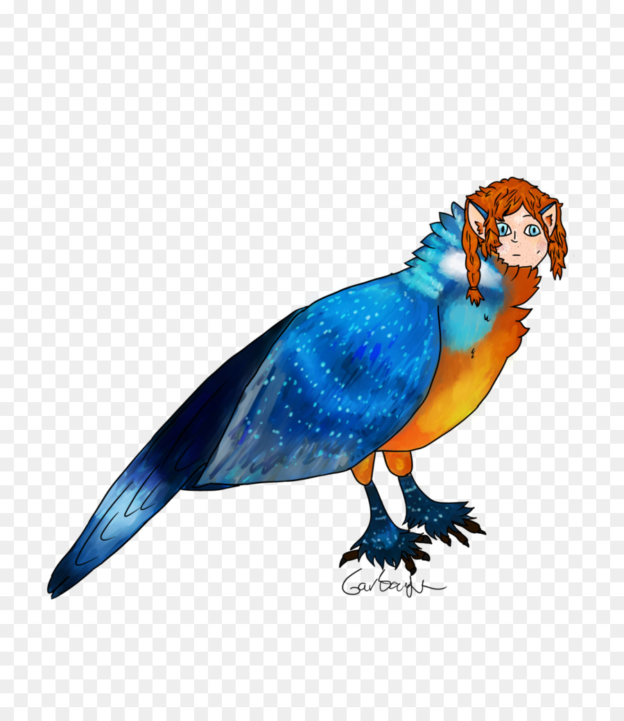 Parrot，Pájaro PNG