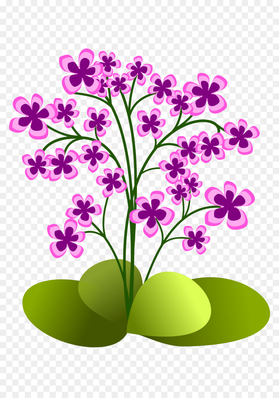 Flor，Fondo De Escritorio PNG