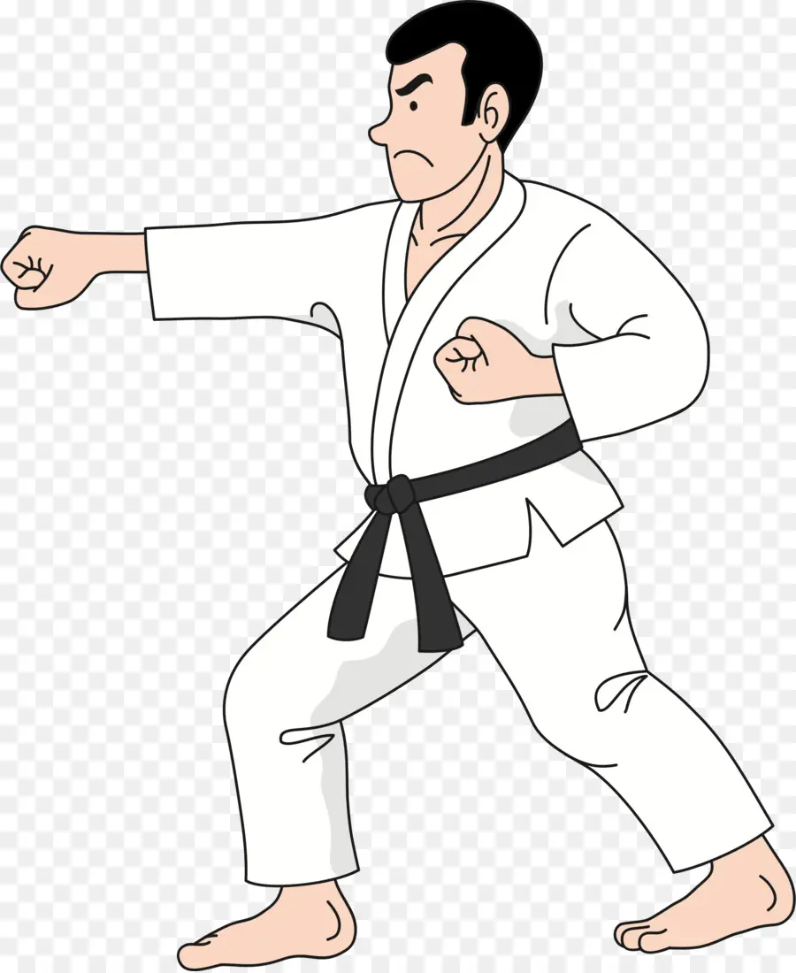 Dibujos Animados De Kárate，Artes Marciales PNG