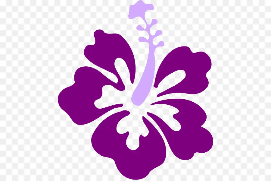 Hibisco Morado，Florecer PNG