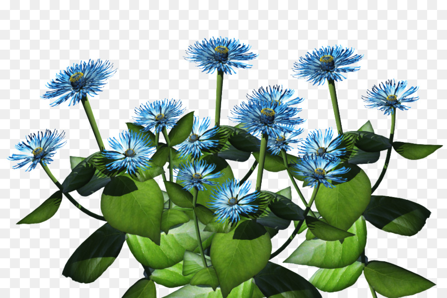 Flores Azules，Flores PNG