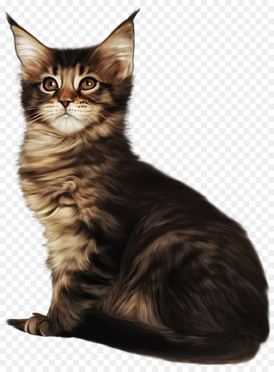 Gato，Mascota PNG