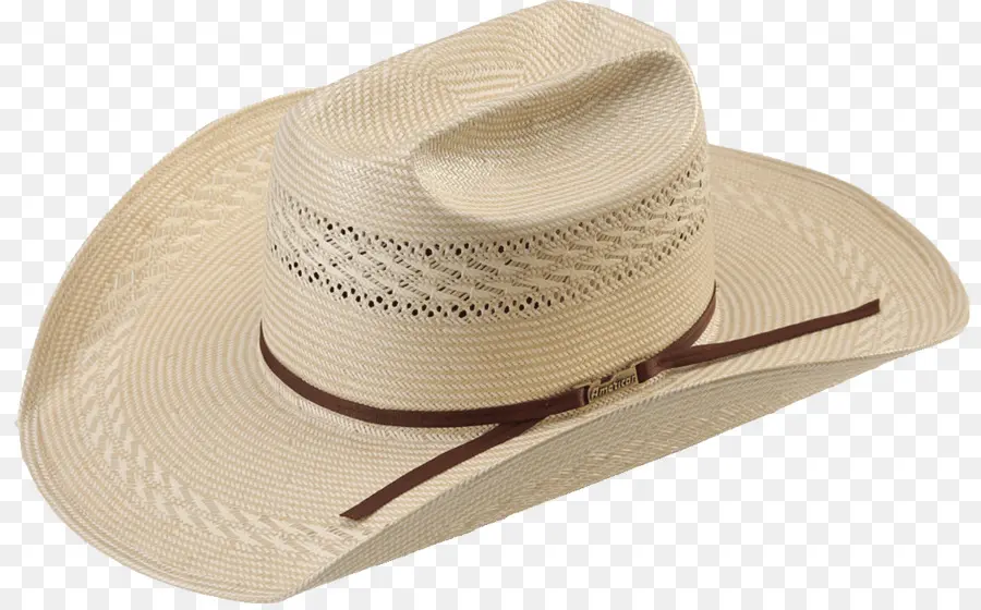 Sombrero，Sombrero De Vaquero PNG