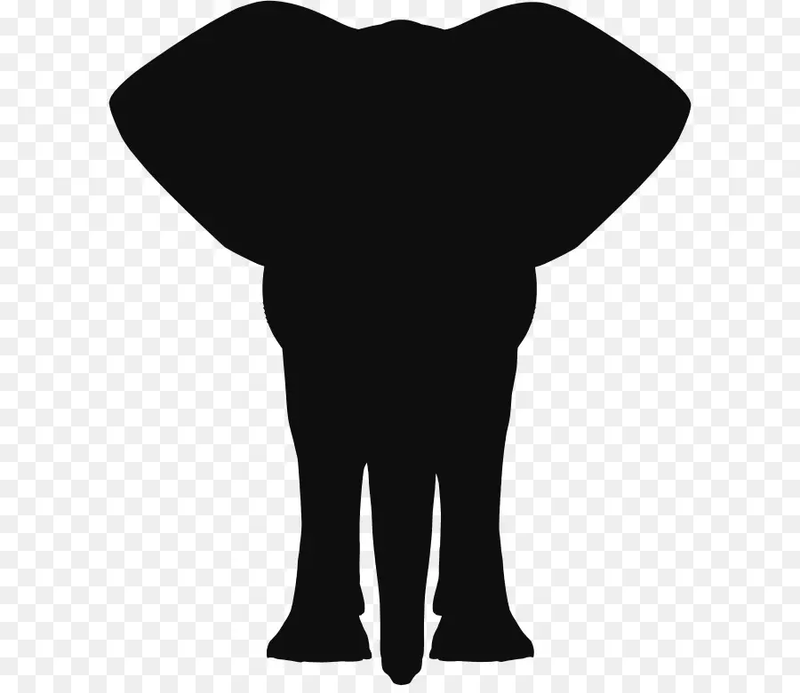 Elefante Indio，El Elefante Africano PNG