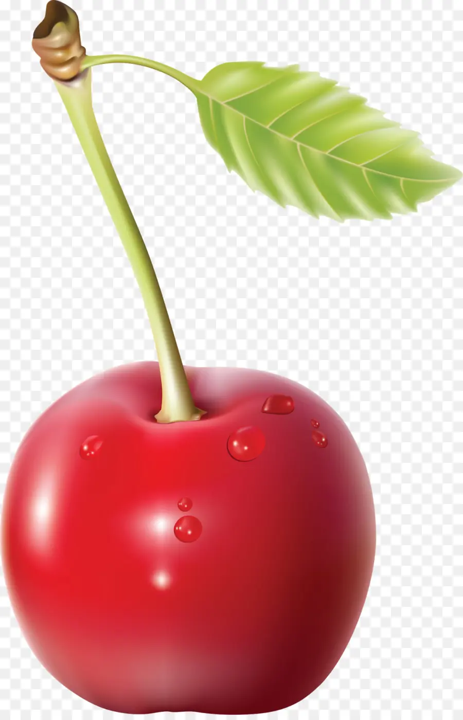 Cherry，Postscript Encapsulado PNG