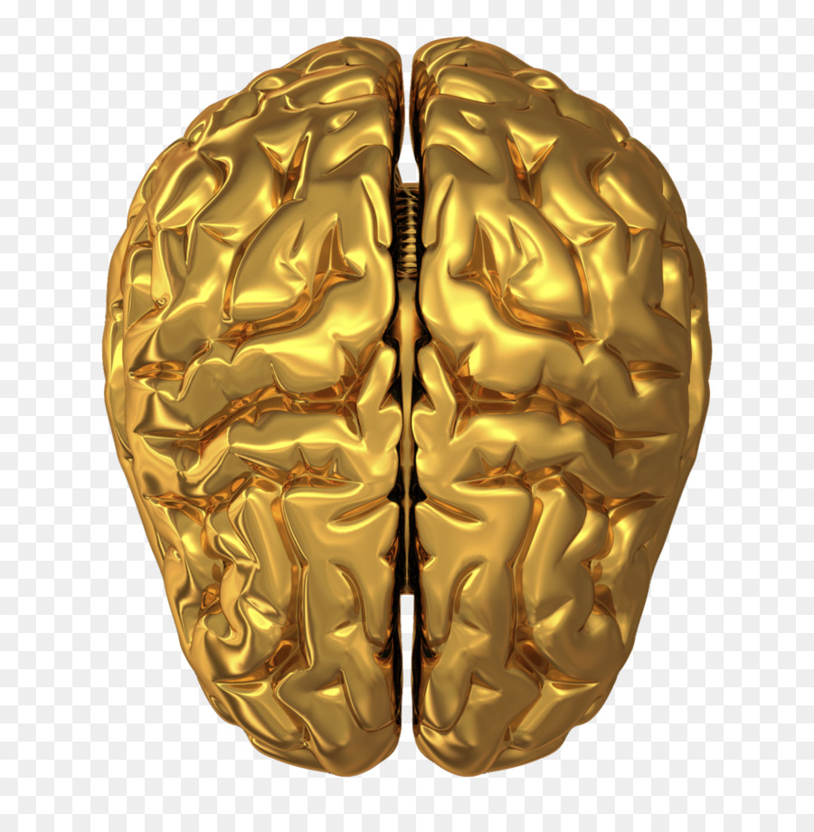 Aventuras De La Longevidad Club De Misterio，Su Cerebro Tiene Una Inclinación No Mella PNG