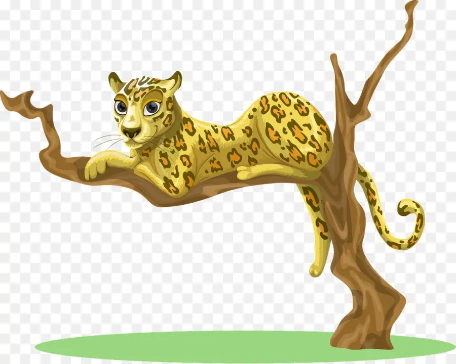 Leopardo，Árbol PNG