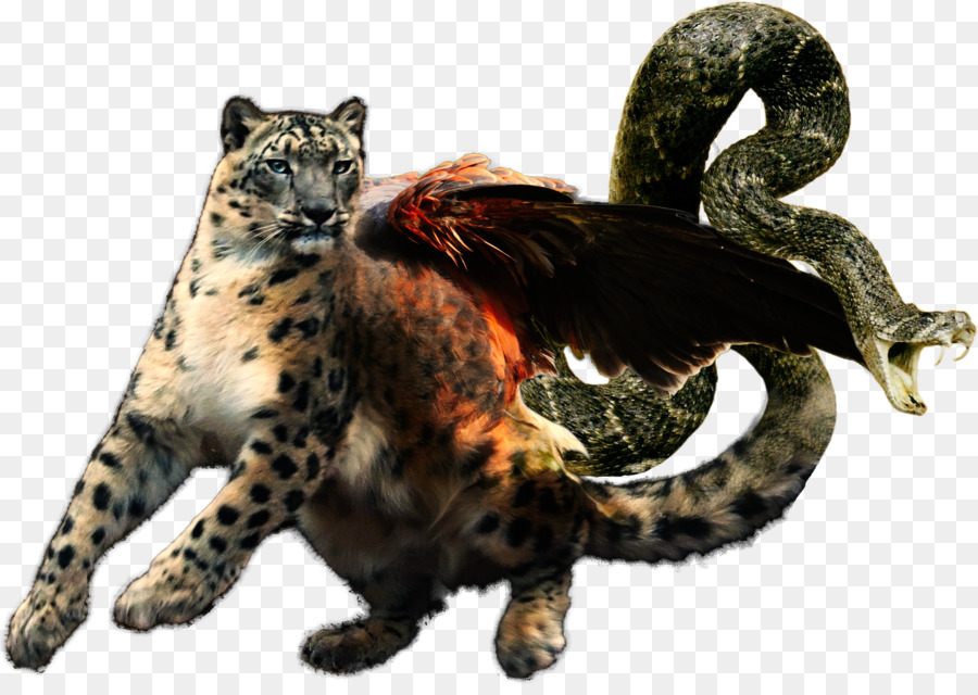 Leopard，Gato PNG