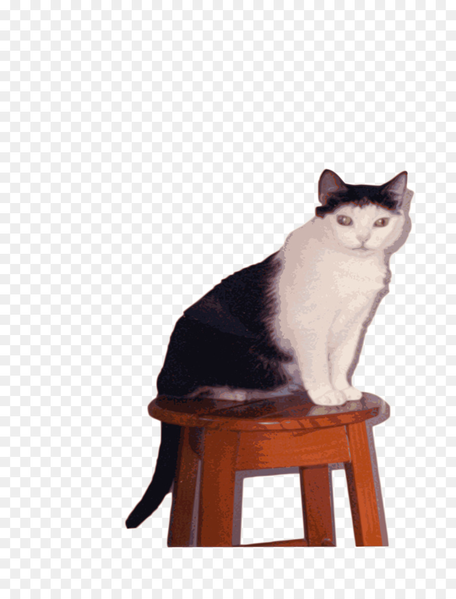 Gato，Gatito PNG