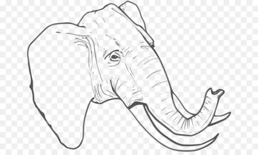 Elefante Dibujo，Animal PNG