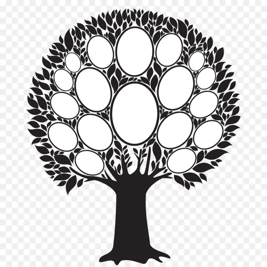 Árbol Genealógico，Genealogía PNG