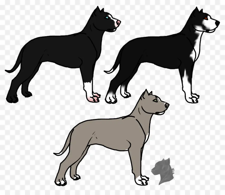 Perros，Mascotas PNG