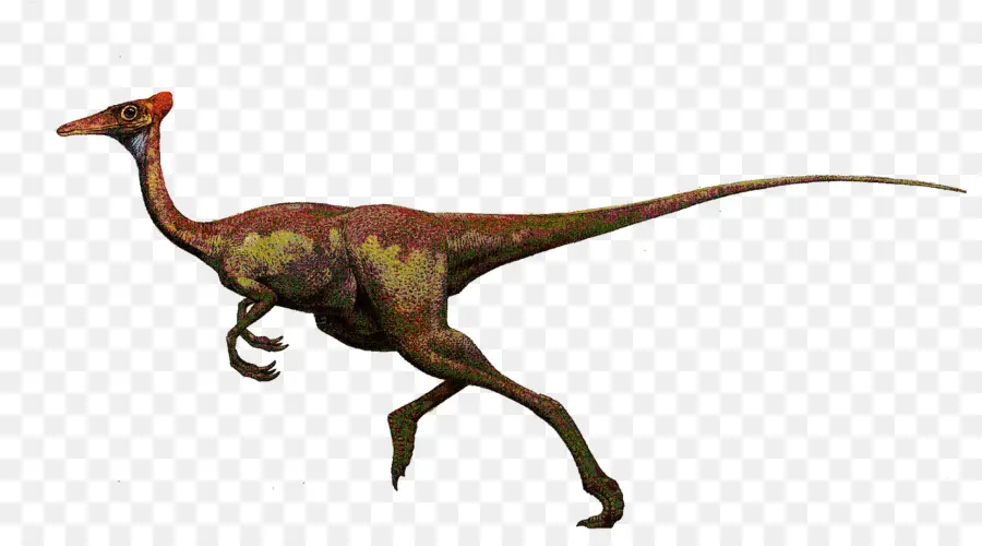 Dinosaurio，Prehistórico PNG