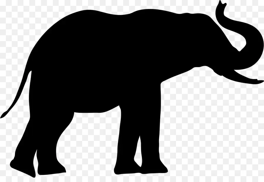 Elefante，Fauna PNG