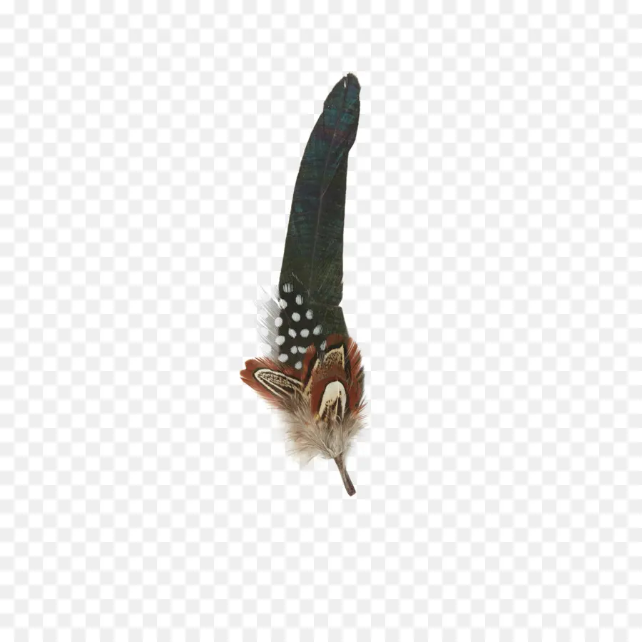 Pluma，Mariposa PNG