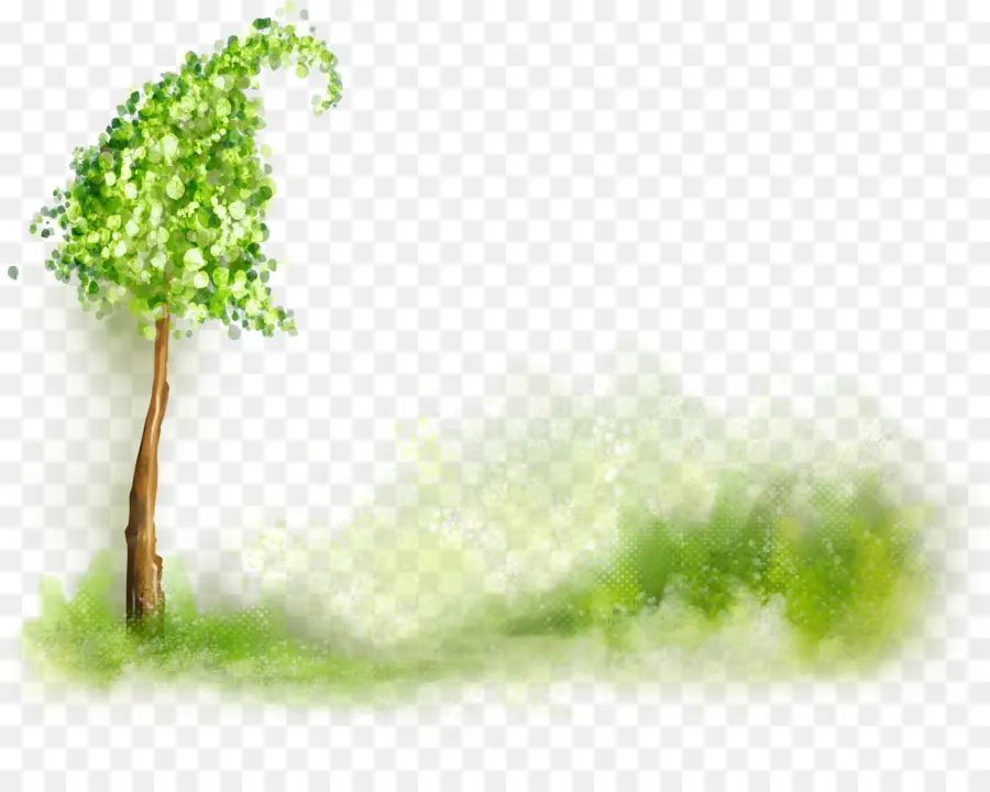 árbol，Fondo De Escritorio PNG