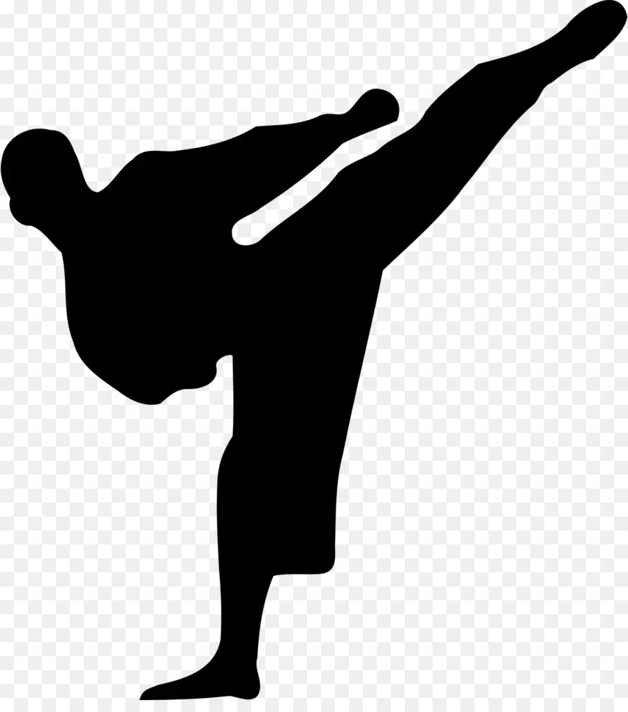 Karate，Las Artes Marciales PNG