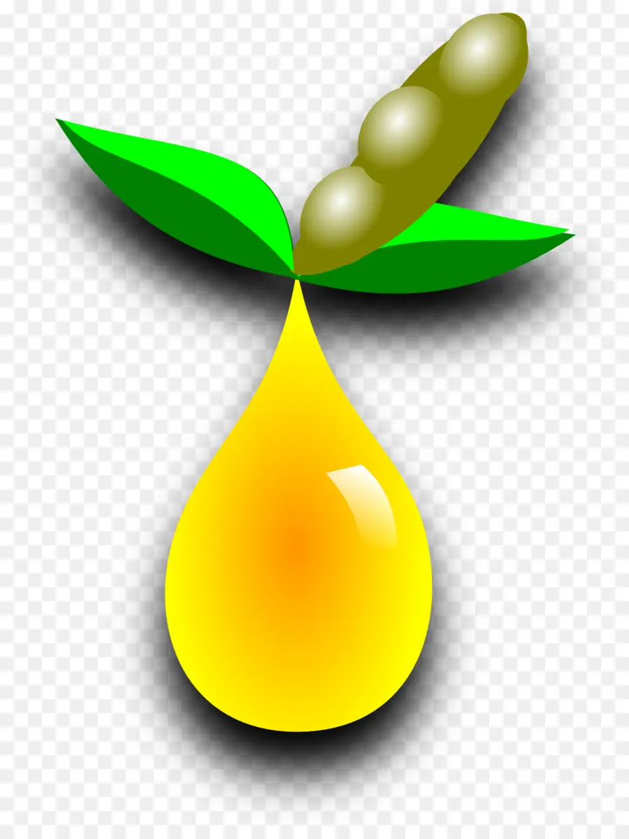 Biocombustibles，El Biodiesel PNG