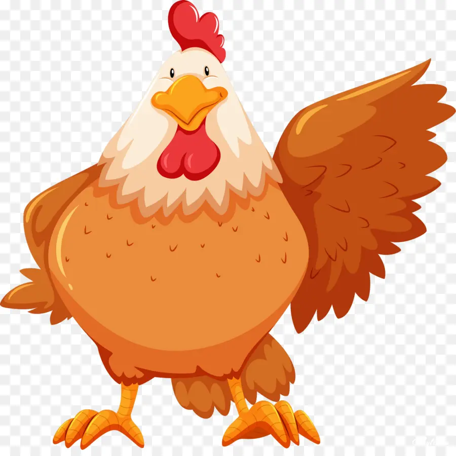 Pollo，Una Fotografía De Stock PNG