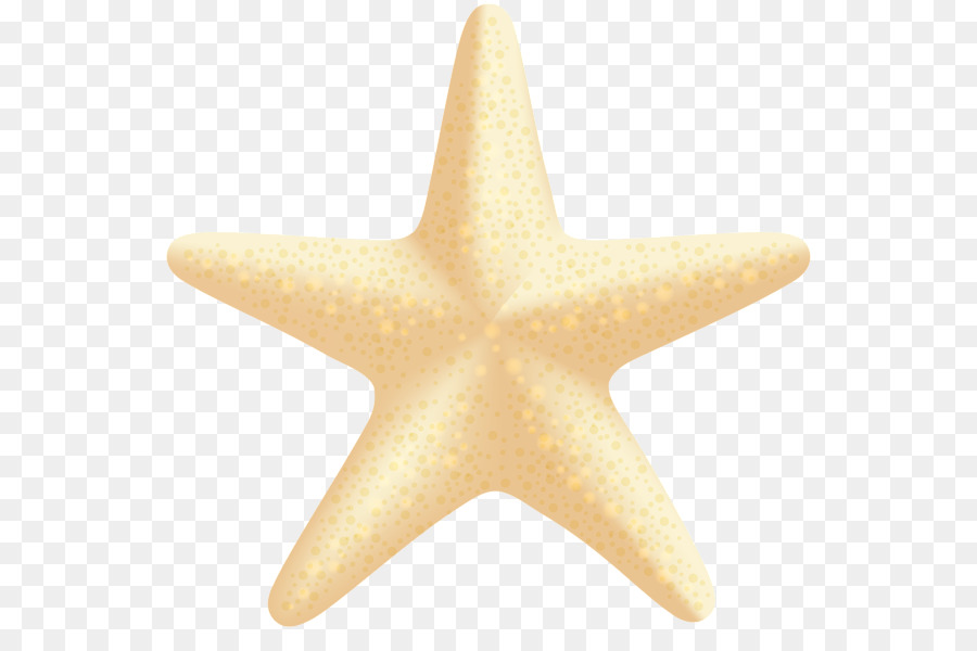 Estrella De Mar，Océano PNG