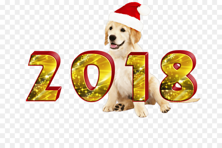 Perro，Año Nuevo PNG