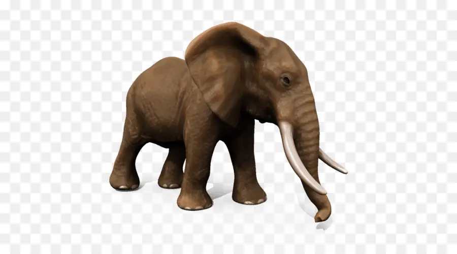 Elefante Africano，Elefante Asiático PNG