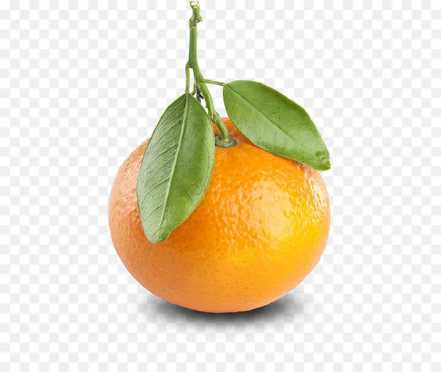 Naranja，Agrios PNG