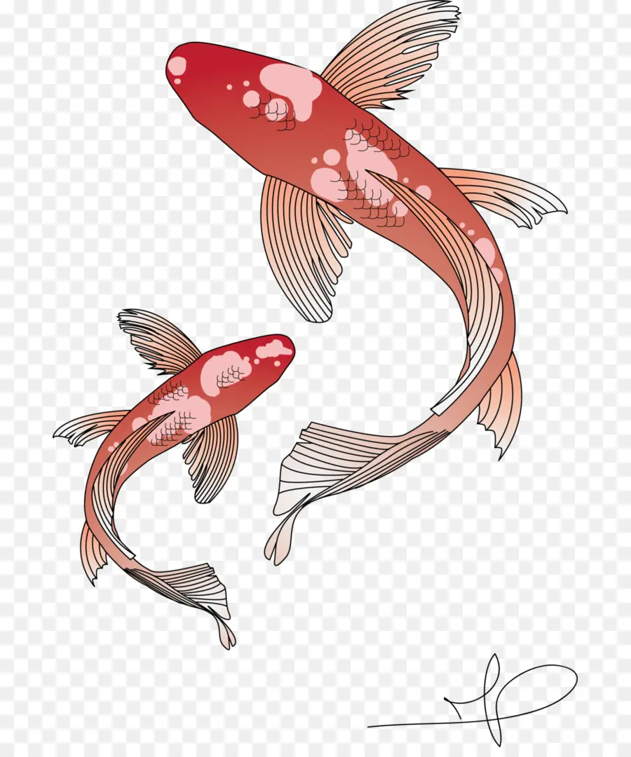 Pescado Rojo，Agua PNG