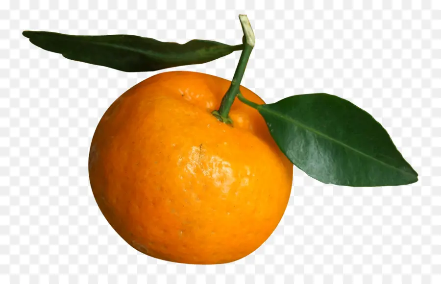 Mandarina，Clementine PNG