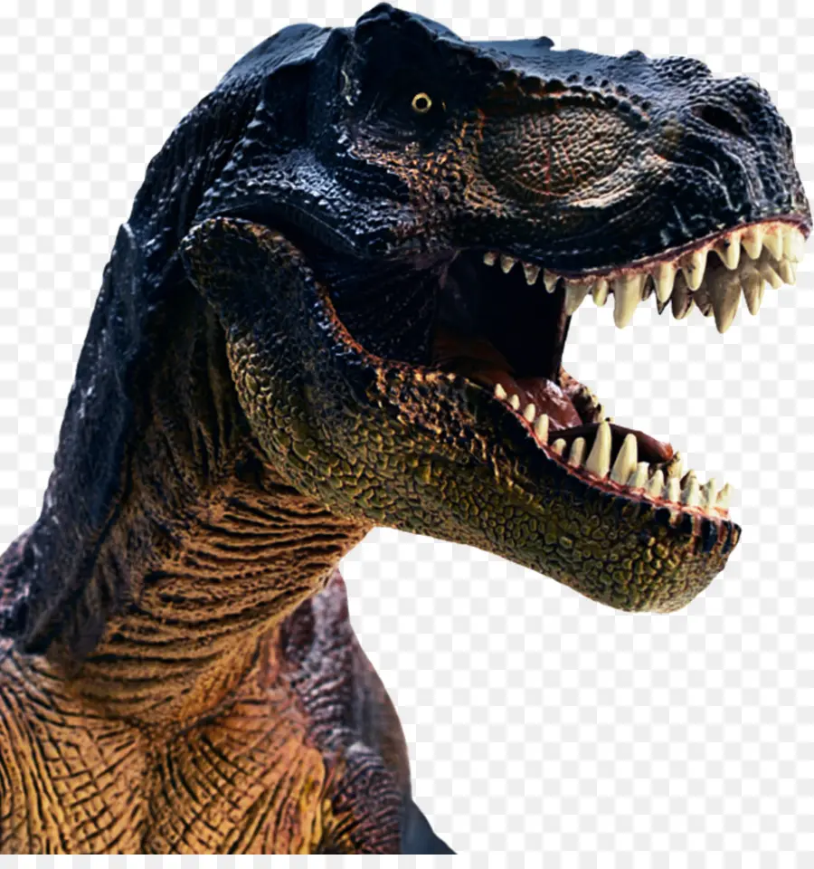 Tyrannosaurus，Hablando De T Rex PNG