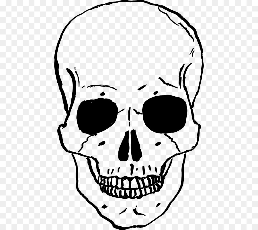 Cráneo，Cráneo Y Bandera Pirata PNG
